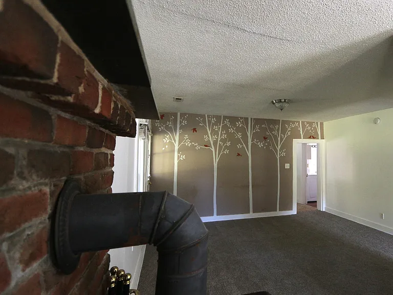 4555 Green Creek Rd — Photo 10