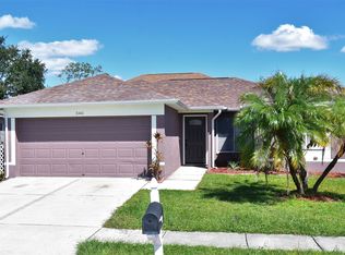 1440 Birchstone Ave, Brandon, FL 33511
