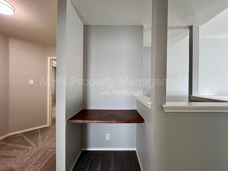 8734 Snow Goose — Photo 21