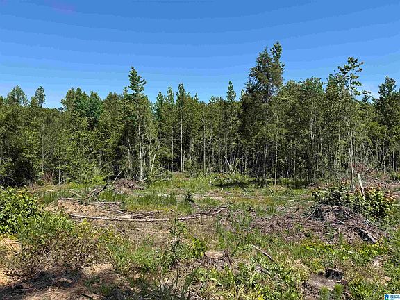 4th image of Active Rd #4