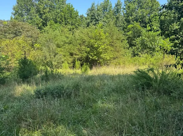 704 Windstone Dr, Tracy City, TN 37387