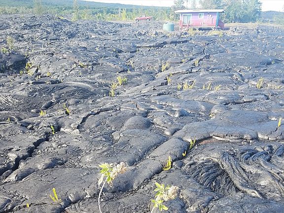 5th image of Uluwehi St