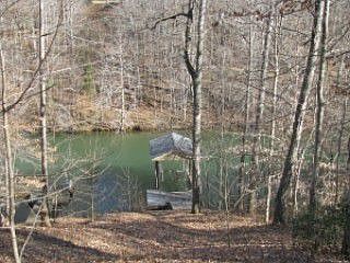 5th image of 600 Forest Lawn Dr