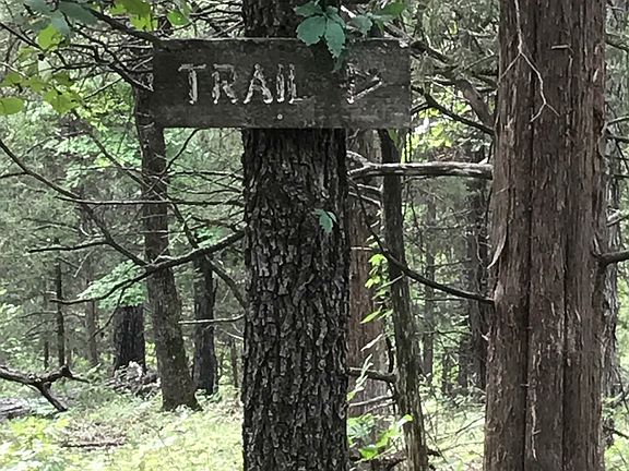 Bluff Overlook Trail Marker