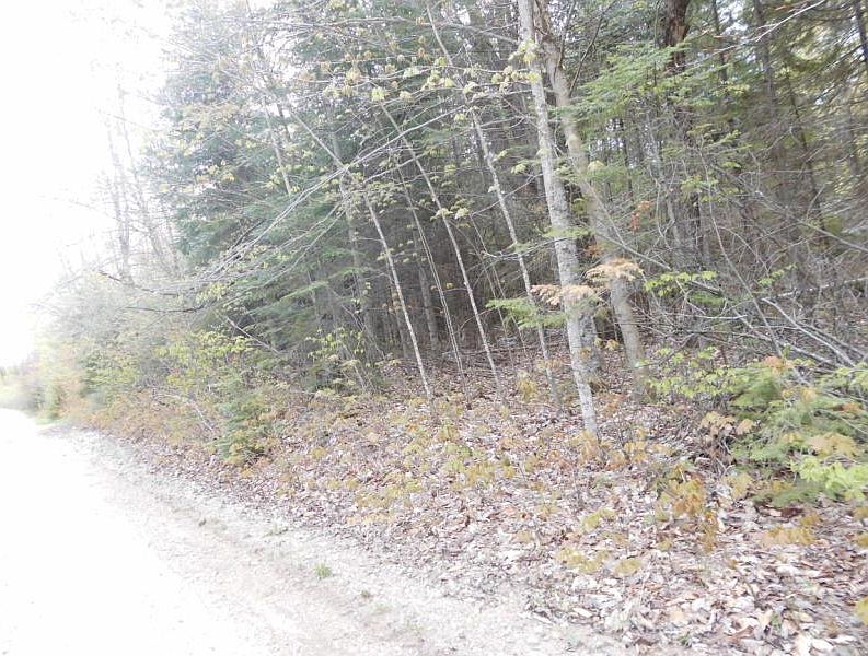 2nd image of 16872 S Wilwin Rd