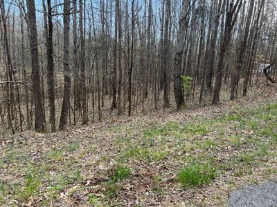 0 Crestview Dr LOT 181, Bumpus Mills, TN, 37028