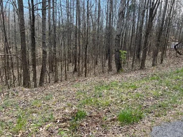 0 Crestview Dr Lot 181, Bumpus Mills, TN 37028