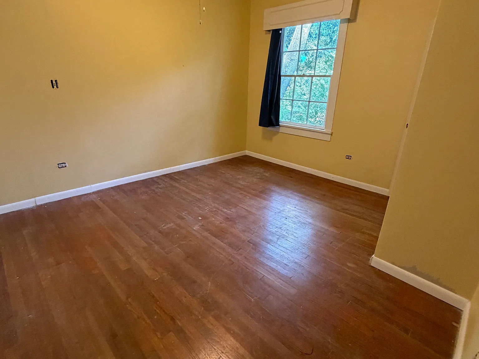 2 bed, $950 — Photo 4