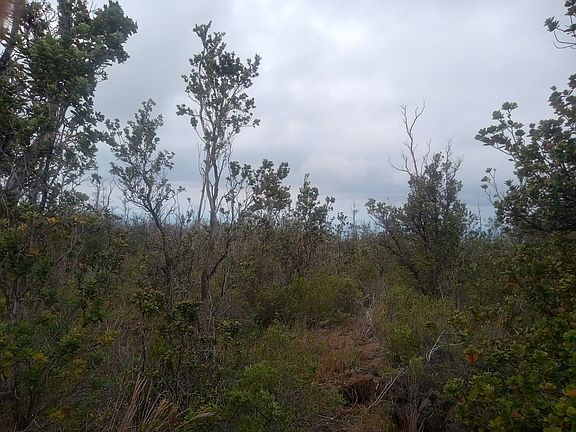 5th image of Cocoanut Dr Lot 5