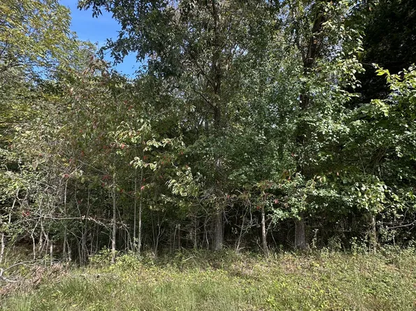 1 McCampbell St, Paris, TN 38242