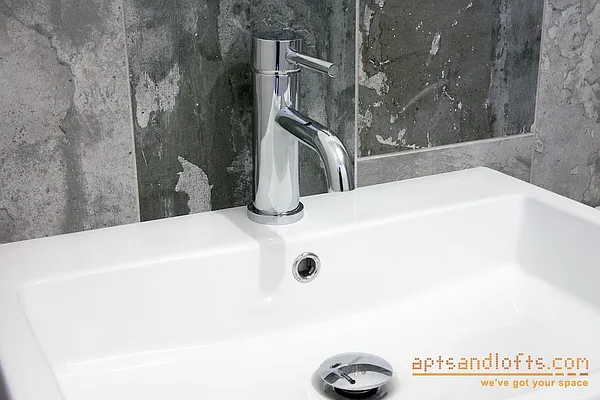 Rented by aptsandlofts.com | media 2