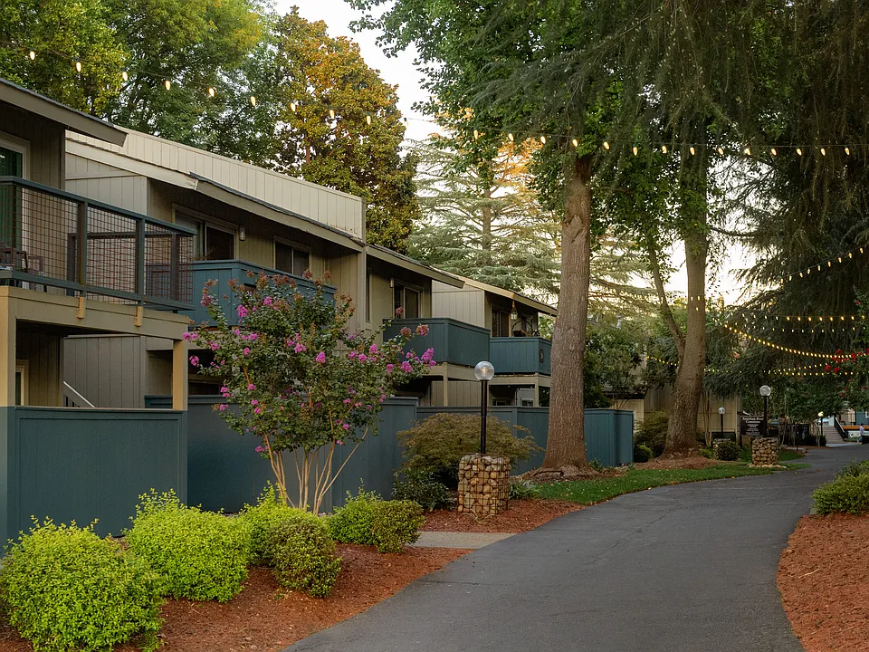 American River Commons