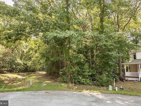 2nd image of 24 Sassafras Ln