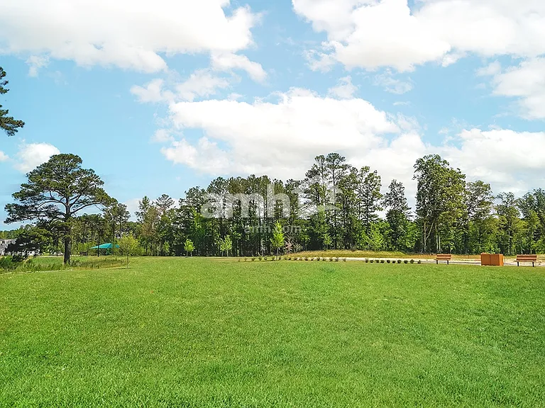 117 Pond Ridge Run — Photo 17