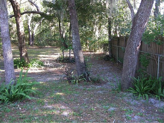 back yard