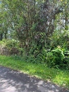 3rd image of Hibiscus St Lot 7305
