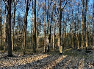 0 E Wee Brook Ln, Lake Leelanau, MI 49653