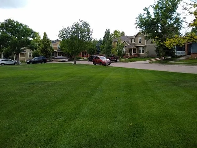 Park across the street