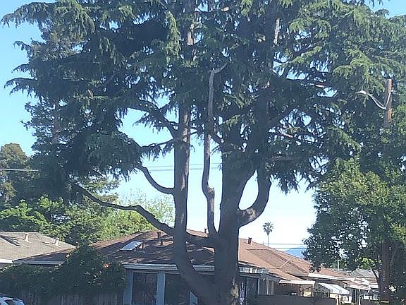 2nd image of 1134 Robway Ave