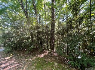 65 Juniper Ct, Sapphire, NC 28774