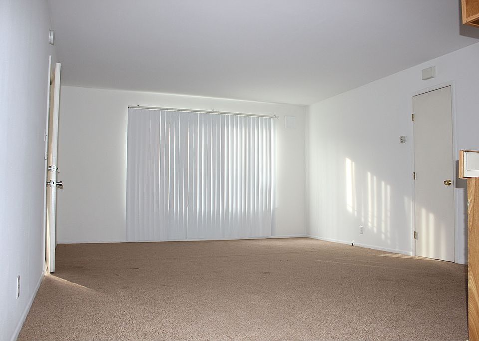 Bright and spacious living room