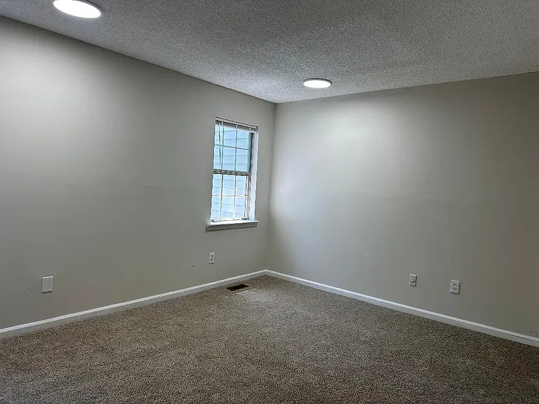 4711 Whitetail Ct — Photo 4