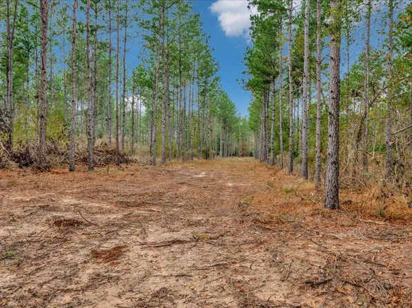 Pid 25936 Moore Cemetery Rd, Groveton, TX 75845