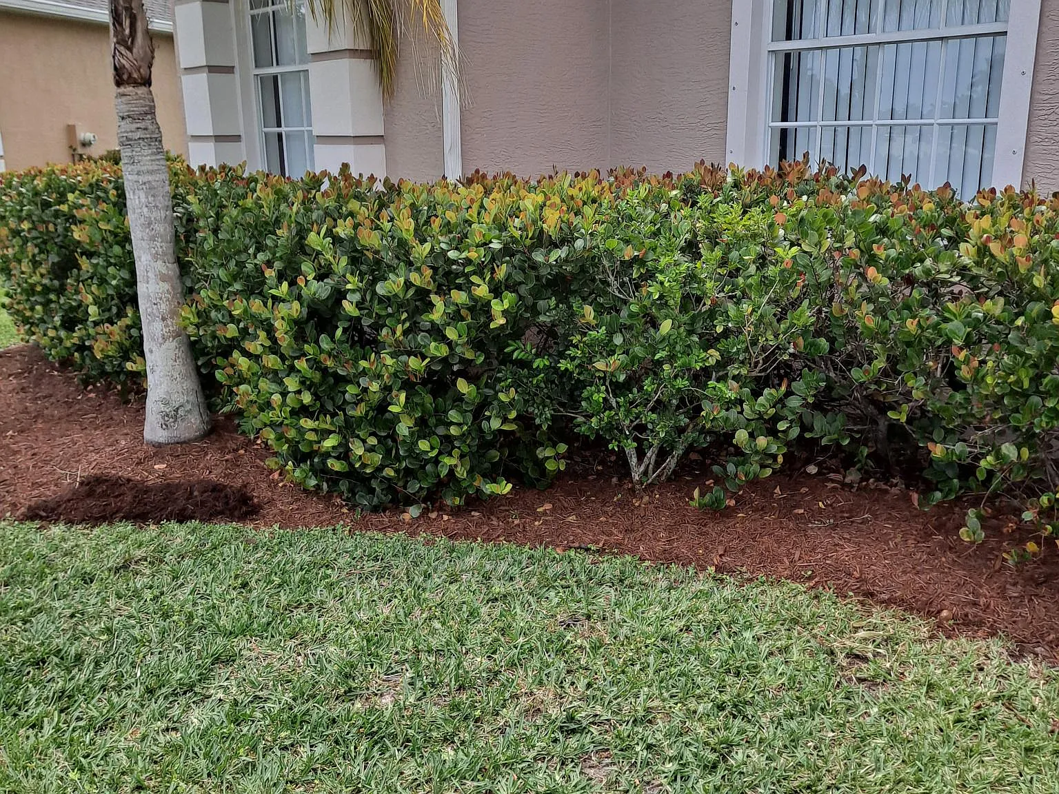 3 bed, 2.5 bath, 2440 sqft, $3,000 — Photo 2