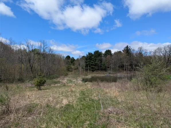 1569 Oakdale Rd, Johnson City, NY 13790