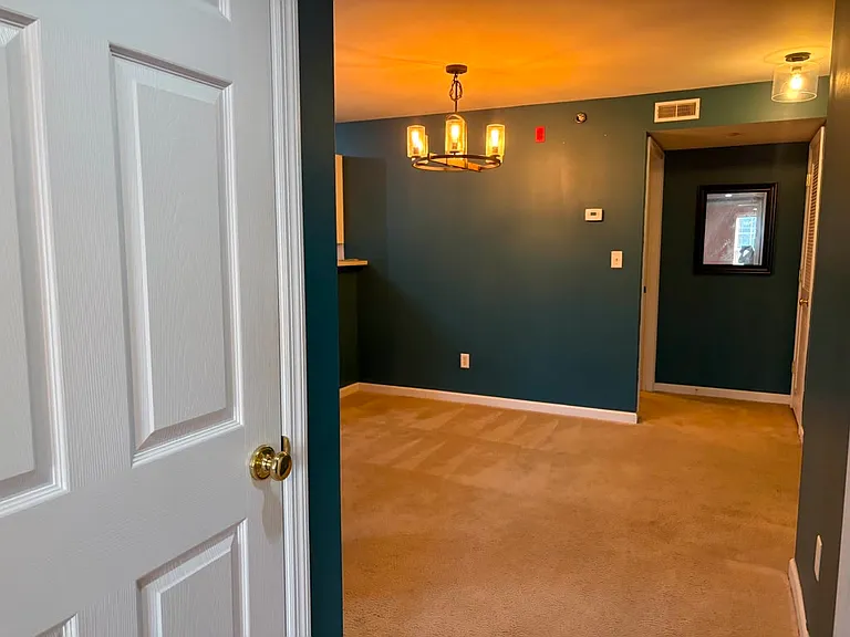 9201 Spring Creek Ln — Photo 15