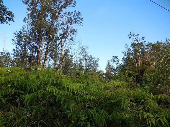 5th image of Road 10 Poouli Lot 5803