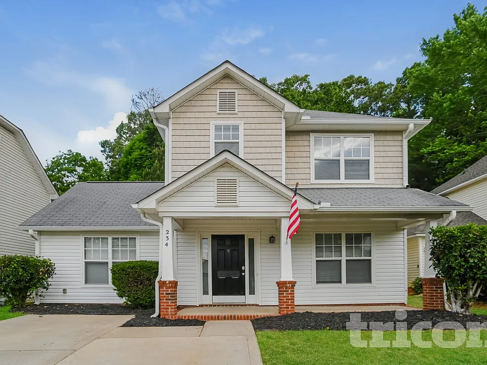 234 Amir Cir