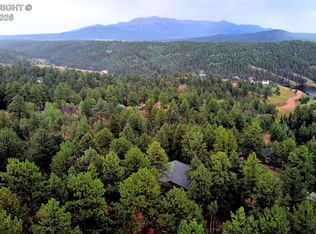 131 Lost Lake Cir, Divide, CO 80814