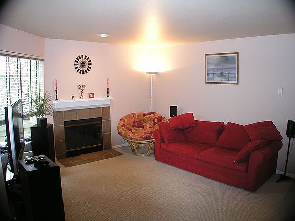 Large living room and wood burning fireplace.