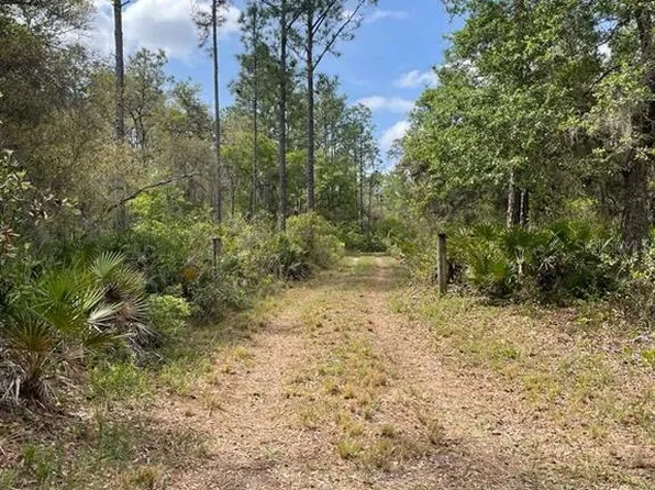 E HWY 318, CITRA, FL 32113