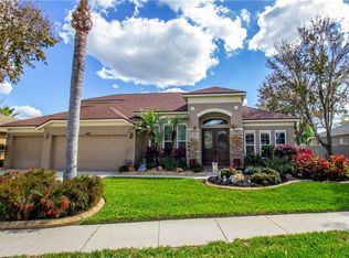 21622 Cormorant Cove Dr, Land O Lakes, FL 34637
