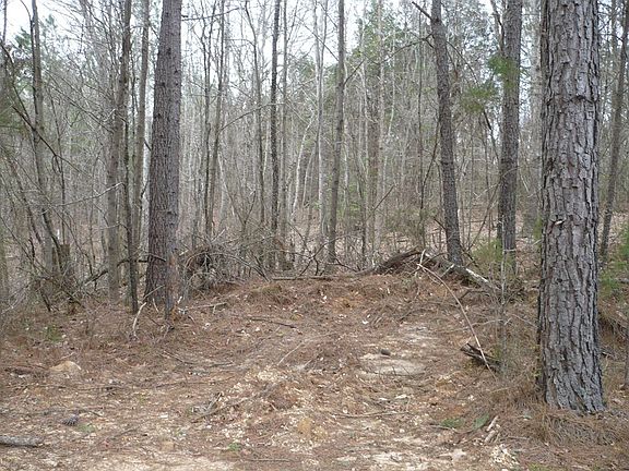 2nd image of 0000 Pond Br