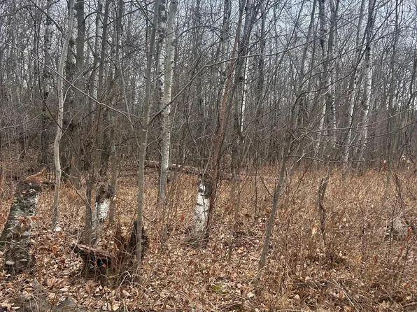 Golf Course Cir, Cushing, MN 56443