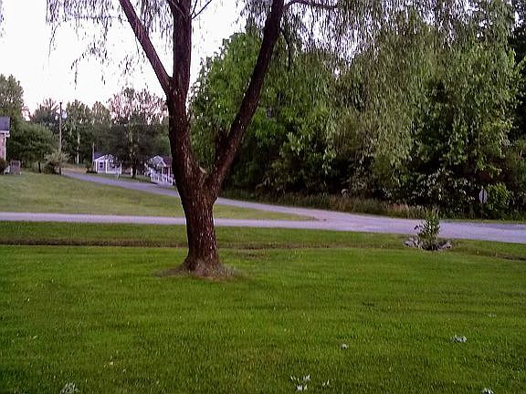 4th image of 57 51st Ave