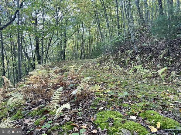0 Moncove Lake Rd, Gap Mills, WV 24941