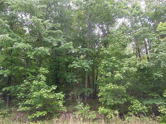 2nd image of 24 Maple Springs Ln Lot 24