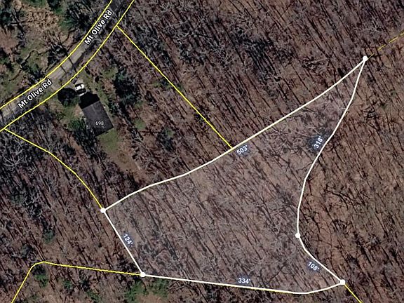 3rd image of 698 Mount Olive Rd