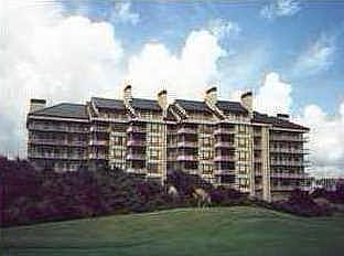 1st image of 9510 Palmetto Dr APT 1310
