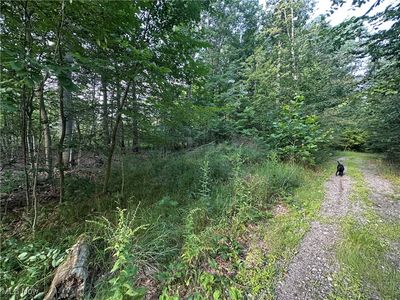 15300 Fedeli Ln, Novelty, OH, 44072