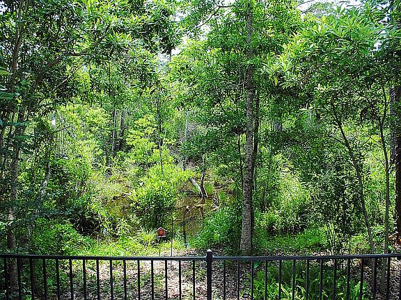 Huge lot extends into forest