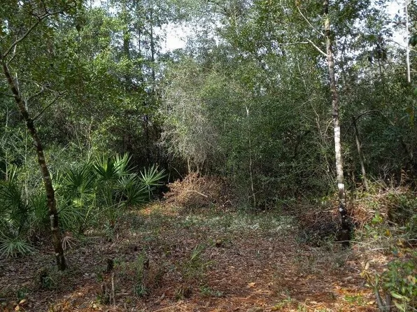 11925 Camelia St, Fountain, FL 32438