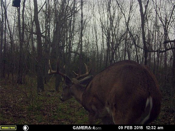 4th image of 10787 County Road 348