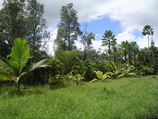 1st image of Road 10 Poouli Lot 5735