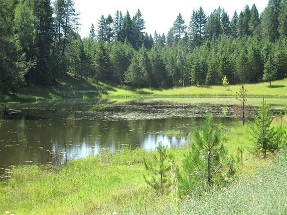 3rd image of Blk 1 Lot 9 Blue Heron Lake Sagle #Lot9