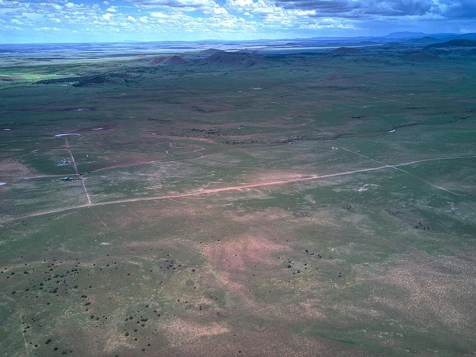 1st image of 67 N3377